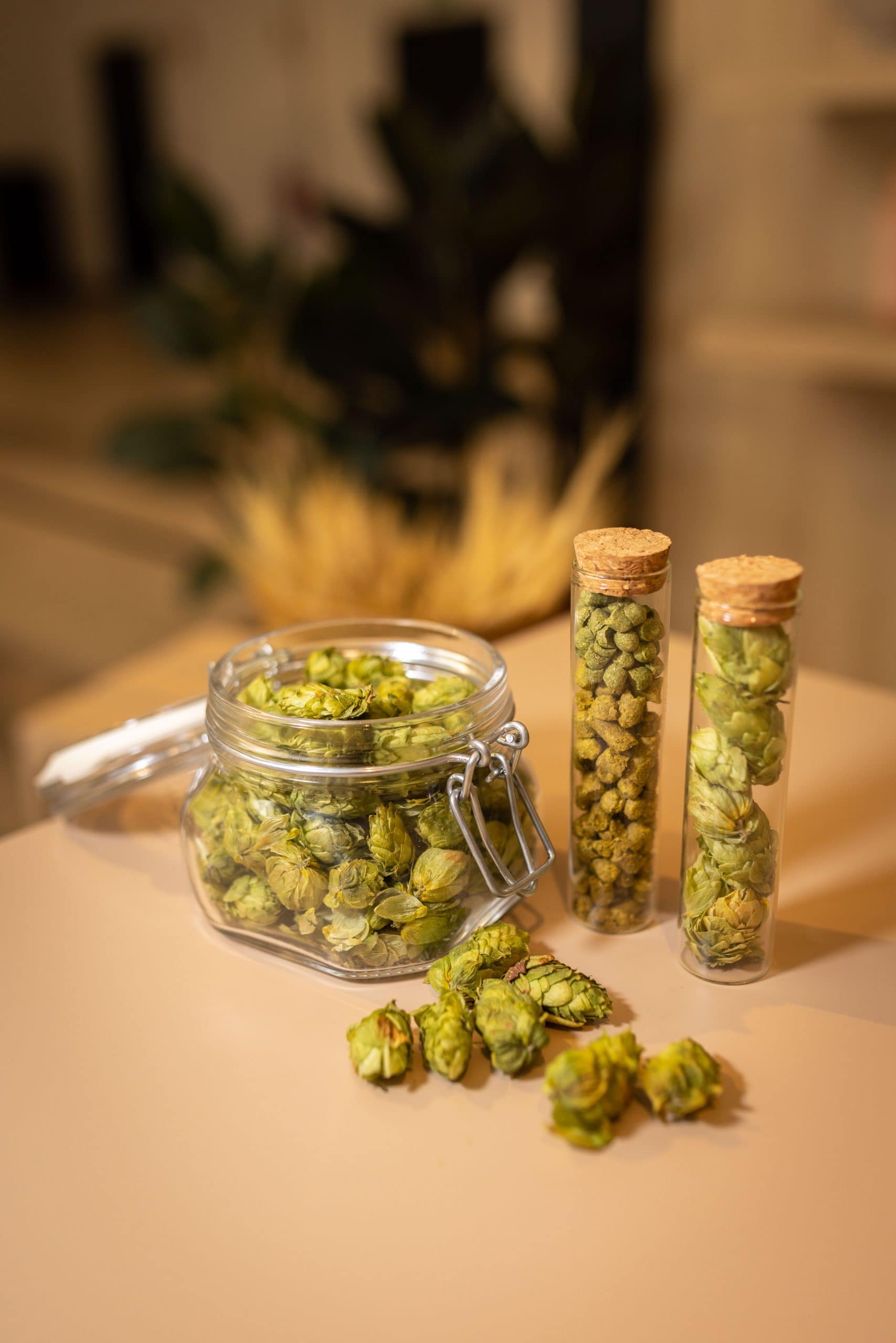 Ingredientes cerveceros