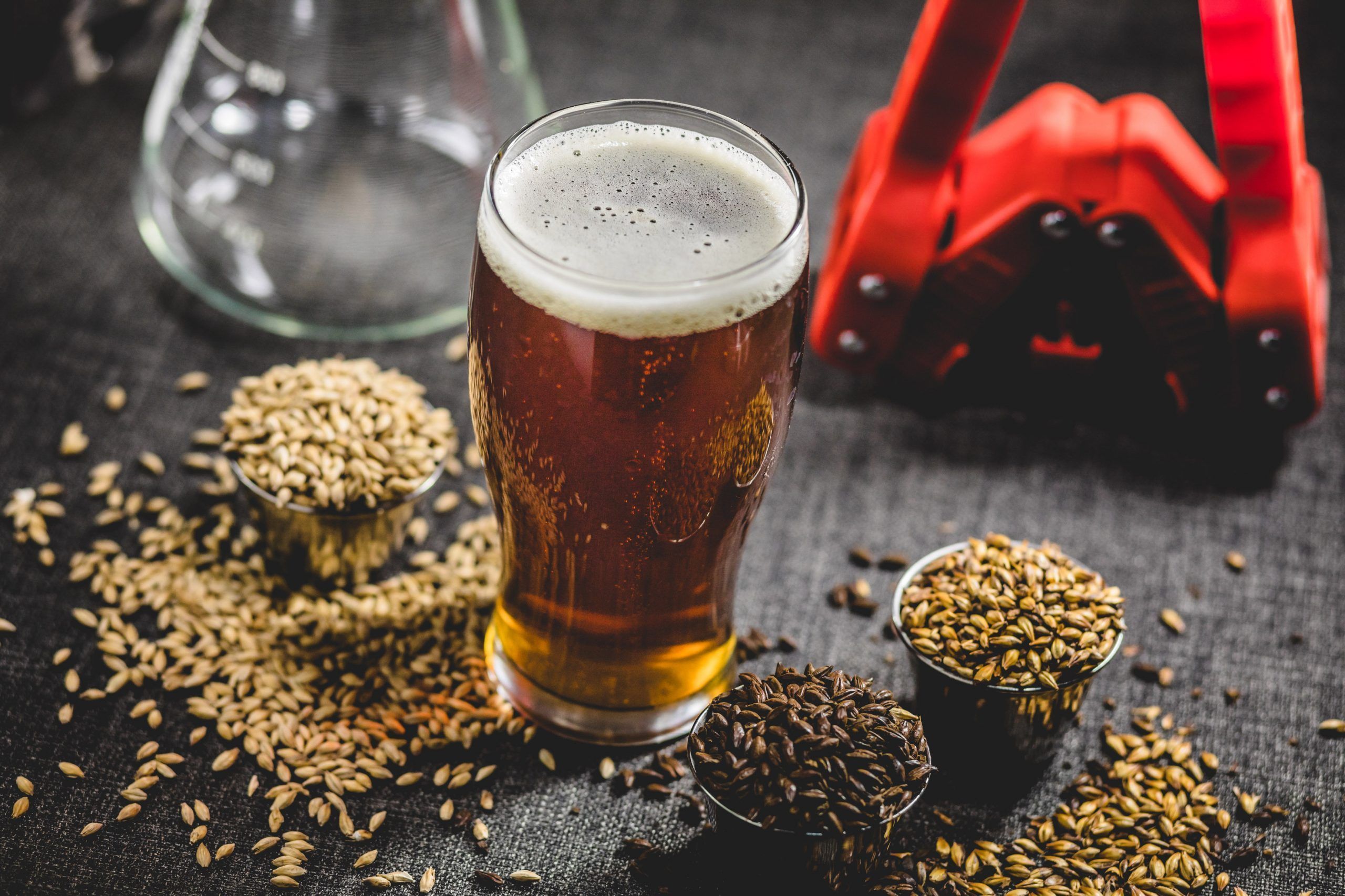 Elaboración de cerveza
