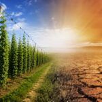 Cambio climático