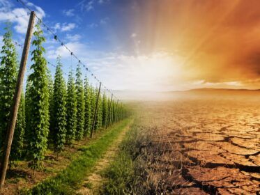 Cambio climático