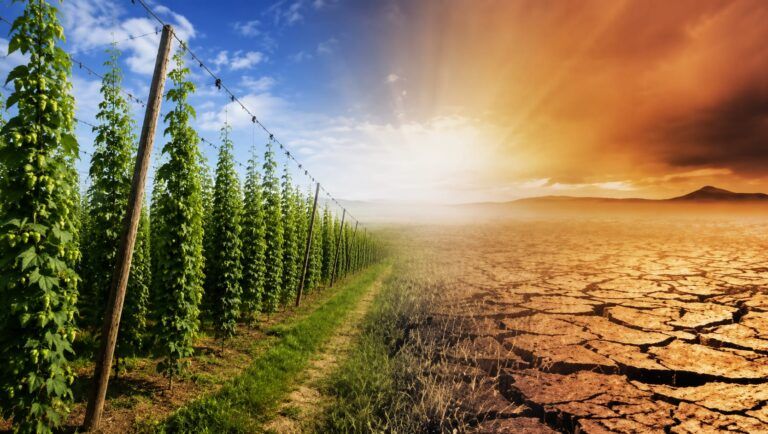 Cambio climático