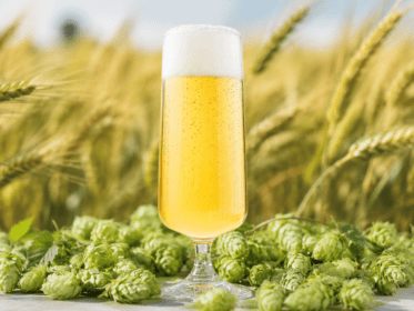 West Coast Pilsner